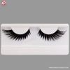 Black Wing-Shaped Eyelashes with Tips