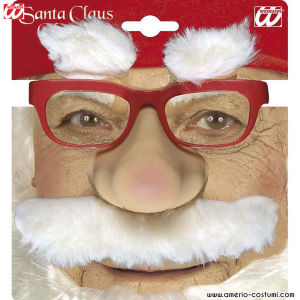 Santa Claus Red Glasses