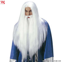 Wizard Wig with Maxi Beard and White Moustache