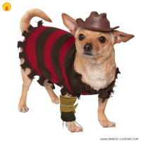 FREDDY - Pet Costume