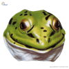 Masque Grenouille en plastique Jr