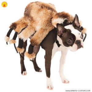 RAGNO GIGANTE - Pet Costume