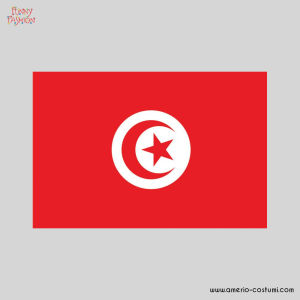 Tunisian flag 90x150