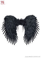 AILES PLUMES NOIRES 80x65 cm