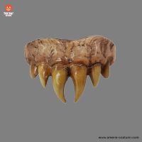Dentiera Bitemares Vampire Master