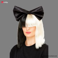 Wig Two Tone Popstar