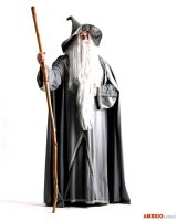 Stregone Grigio Gandalf