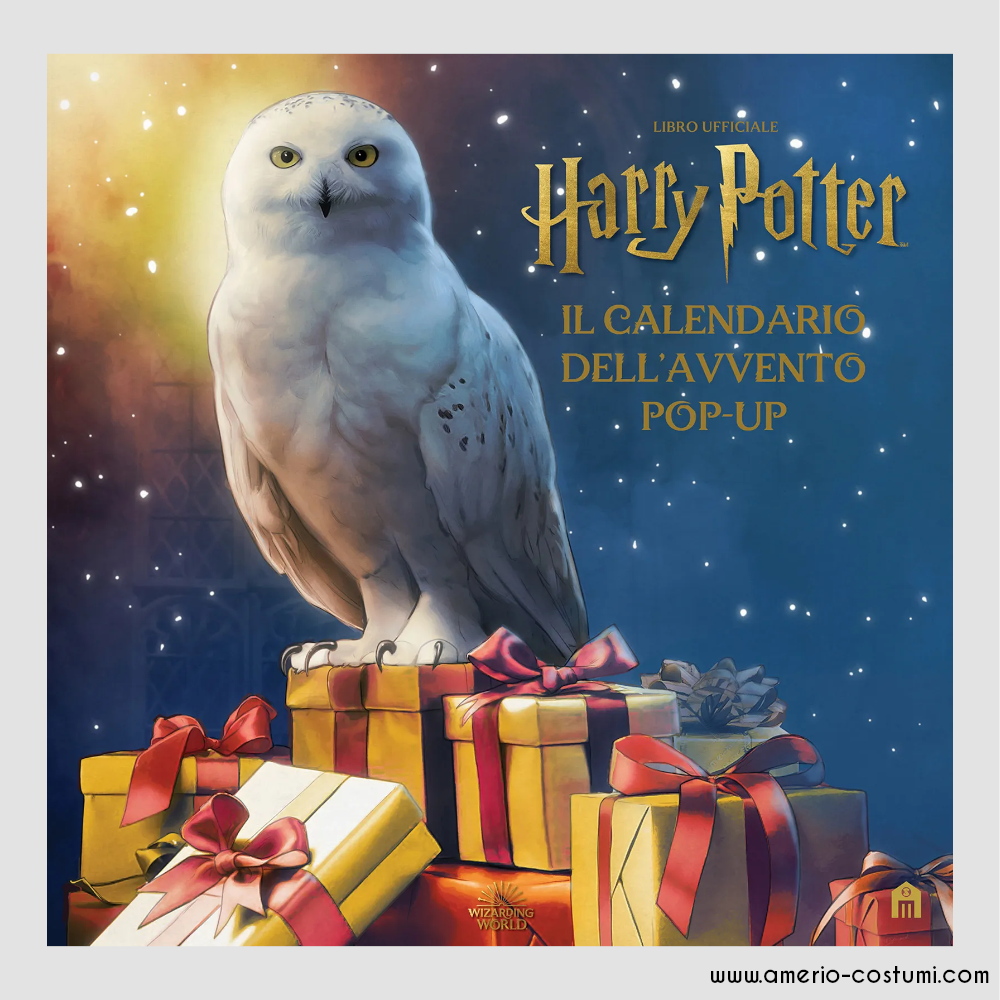 Harry Potter - Natale a Hogwarts - Il Libro Pop-Up — Libro di Wizarding  World