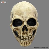 Masque Bone Skull