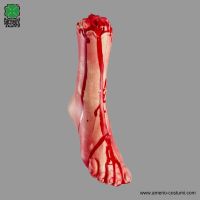 Bloody Foot