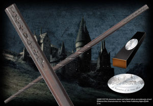 HP Professor Sibilla Cooman's Wand